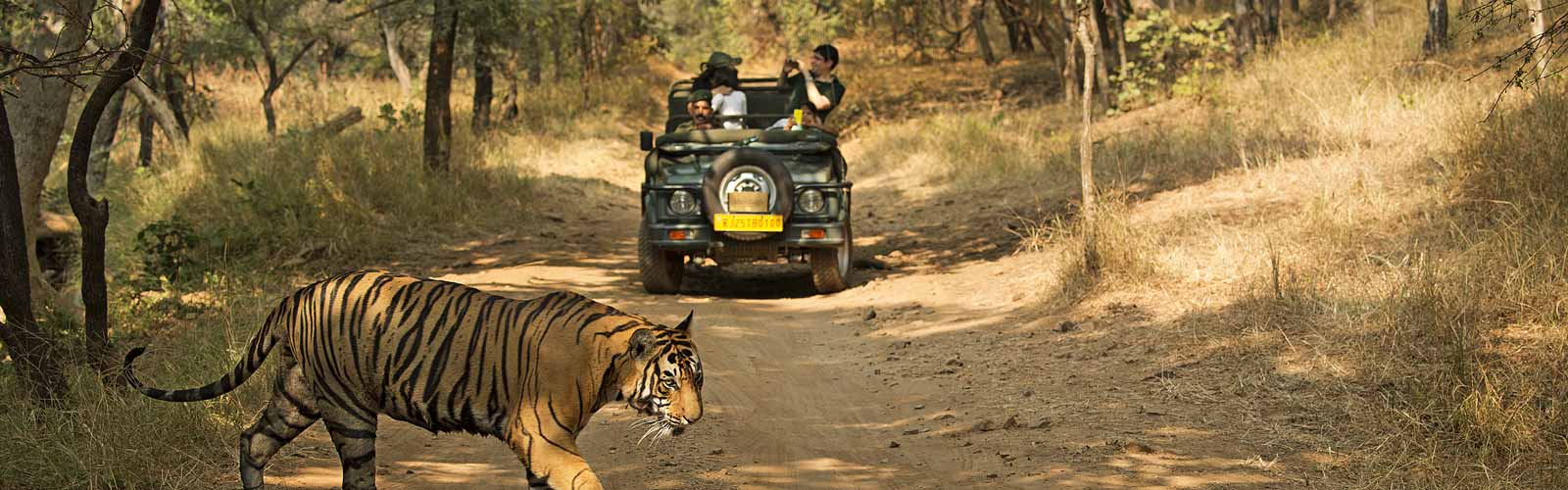Jim corbett family tour