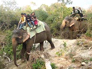 Elephant safari