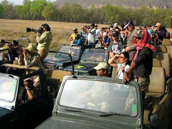 jim corbett tour package