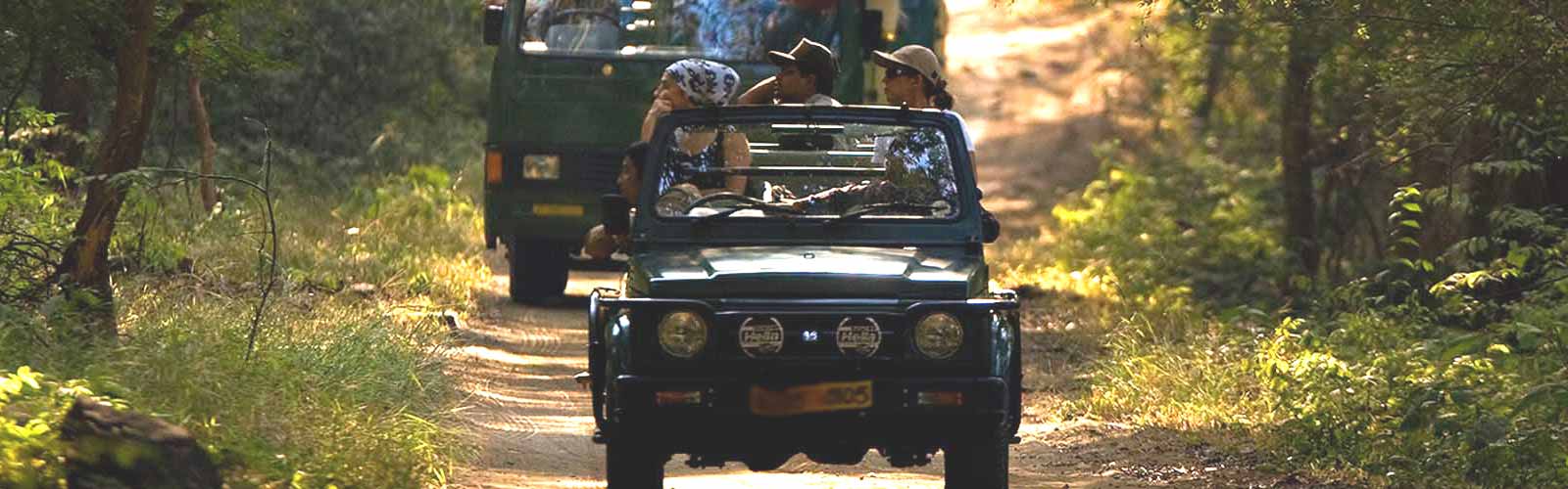 Corbett National Park Jeep Safari Online Booking